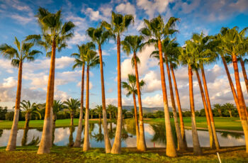 Maximum Golfreisen bietet Golfurlaub auf Mallorca - T Golf & Country Club Poniente